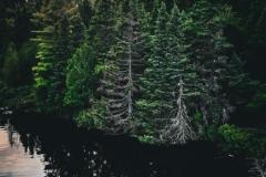 rockwood1