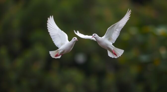 Dorothy ,Bayard Galbraith