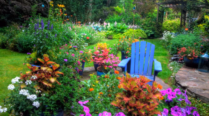 Gardening in Saint John in September